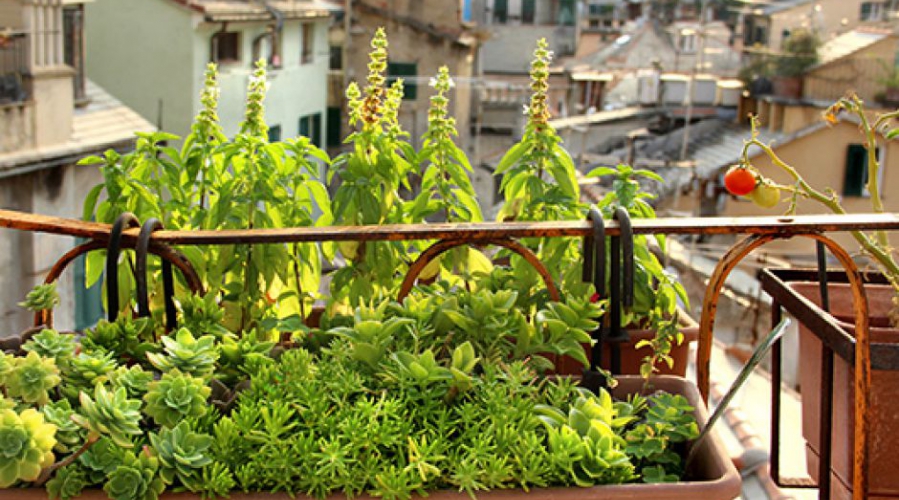 Lep in užiten balkon