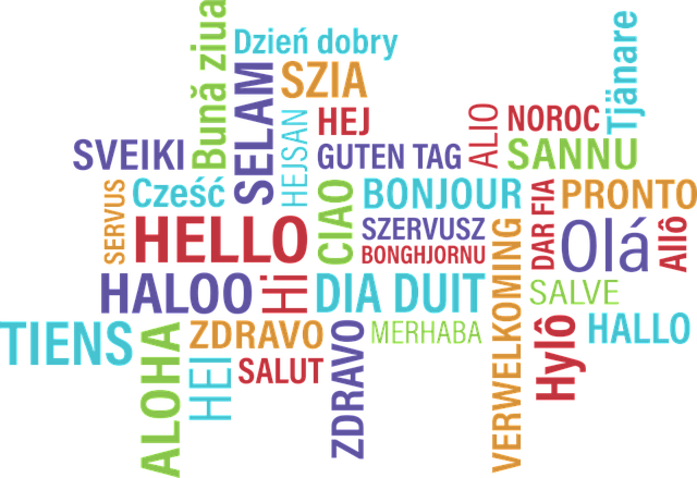Evropski dan jezikov: jezikovna raznolikost za boljše medkulturno razumevanje
