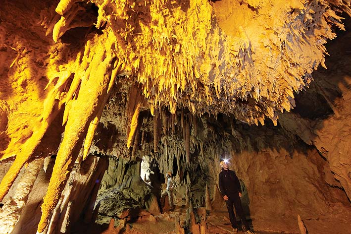 Foto: arhiv Turistično društvo Bohinjska Bela
