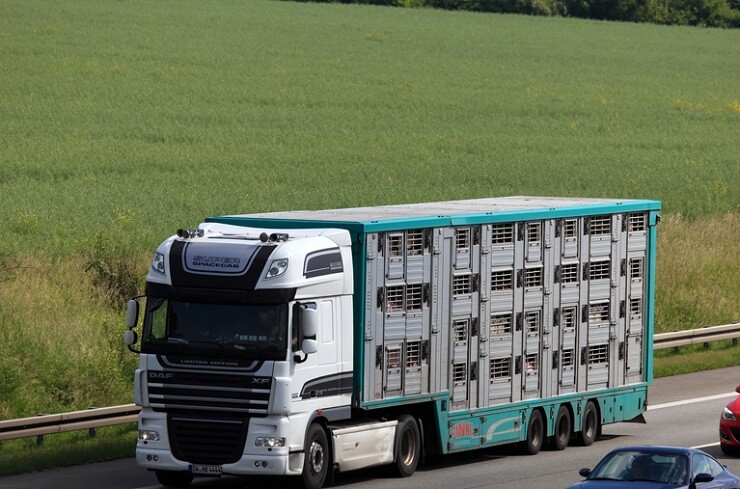 stop the trucks