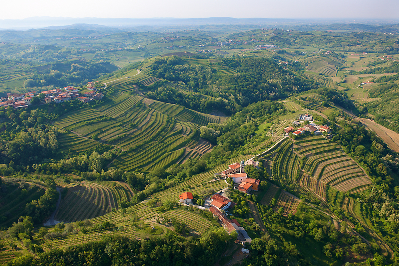 Goriška brda