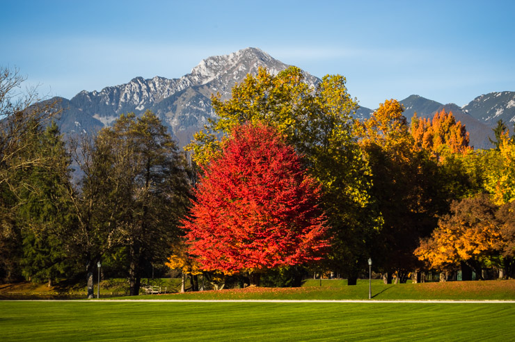 Park Brdo - priložnost za oddih ali rekreacijo