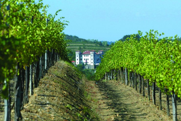 Grad Dobrovo, Goriška
