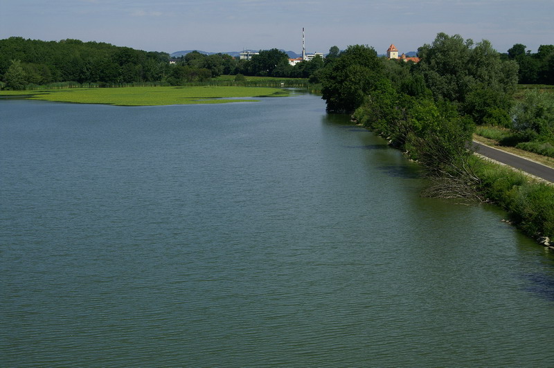 Rački Ribniki