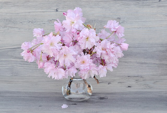 flowers-1381133_640
