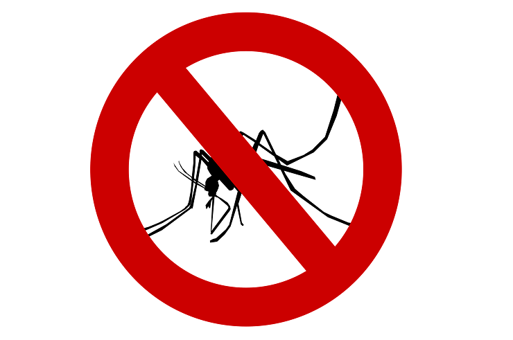 Naredimo sami: Past za komarje, kakršno uporabljajo v ameriški vojski