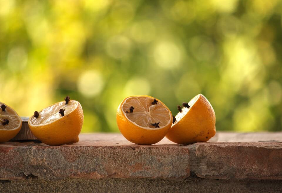 lemons-1330740_960_720