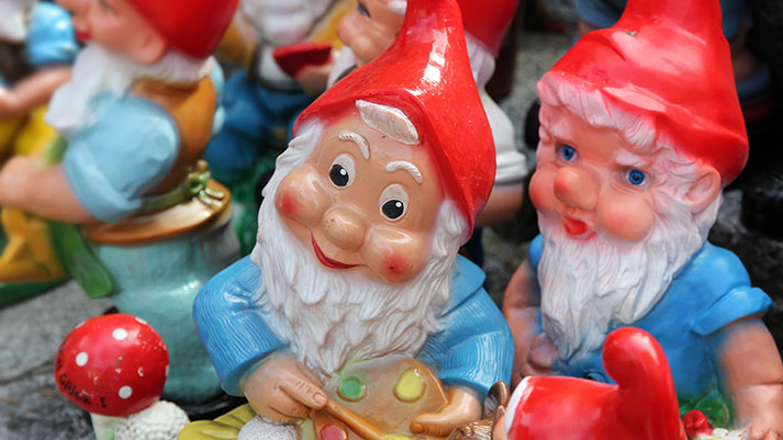 dwarf-545426_web