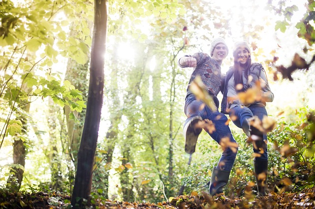 autumn-2353873_640