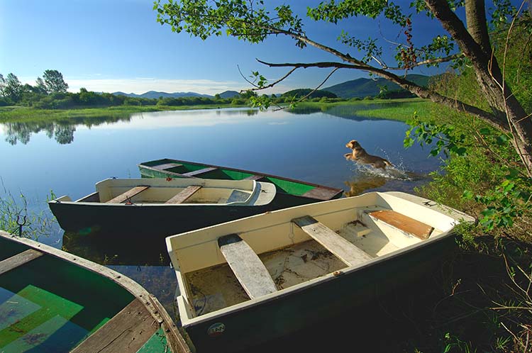 Cerkniško jezero (foto: T. Jeseničnik, STO)