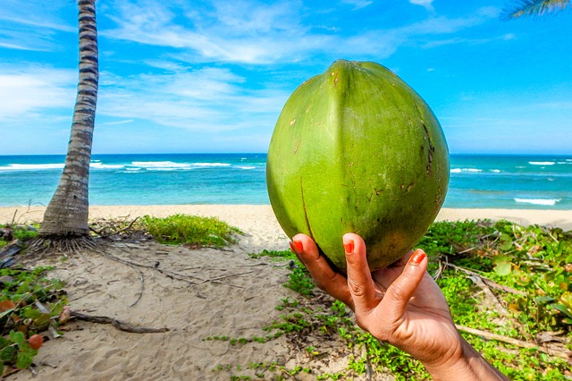 coconut-2485888_640