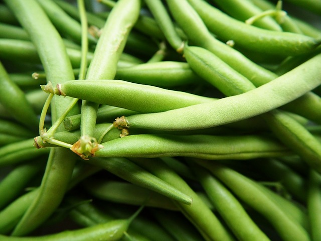 green-beans-2707996_640