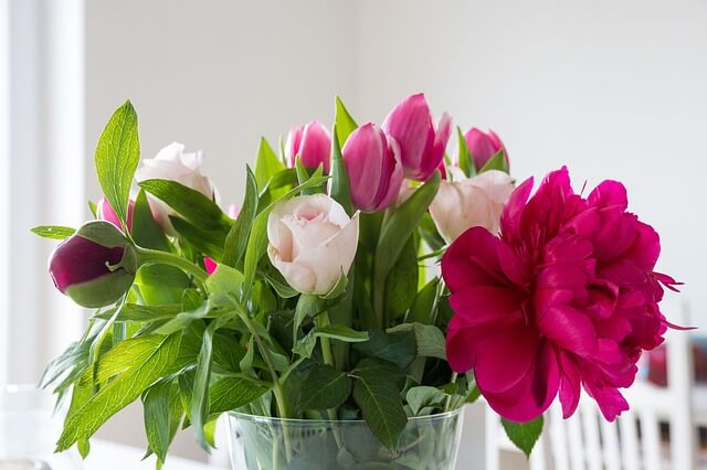 flowers-759586_640
