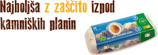 Foto: Izpod Kamniških planin