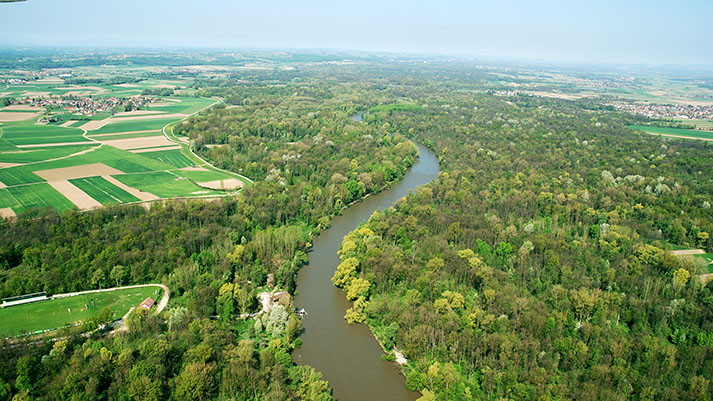 verzej 1