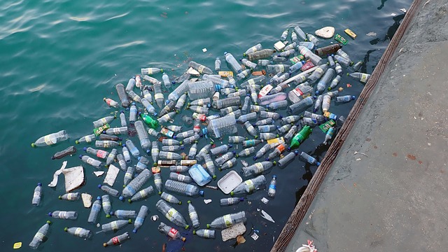 plastic-3151246_640