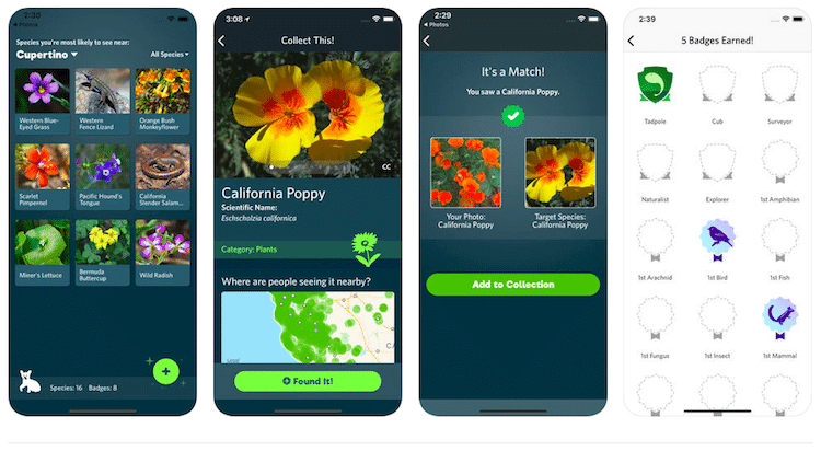 seek-app-2