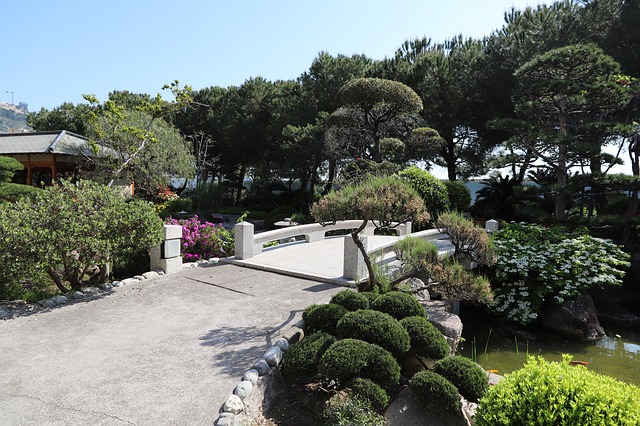 garden-3357675_640