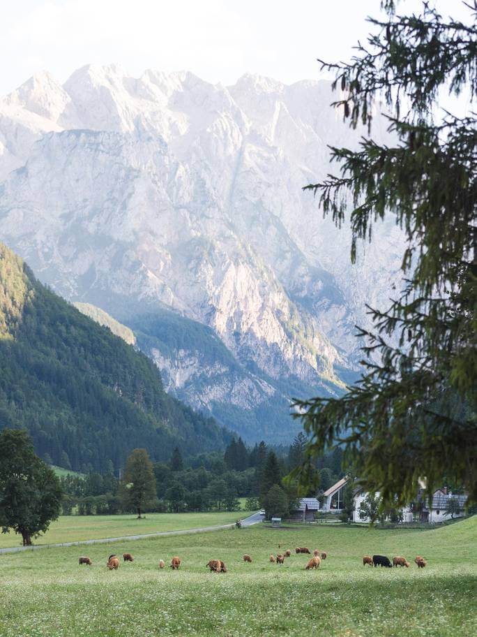 logarska