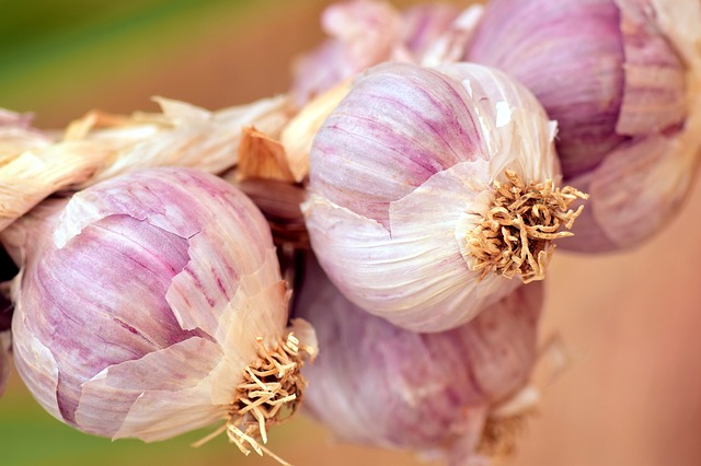 garlic-2391013_640