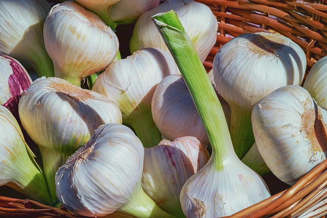 garlic-3471701_640