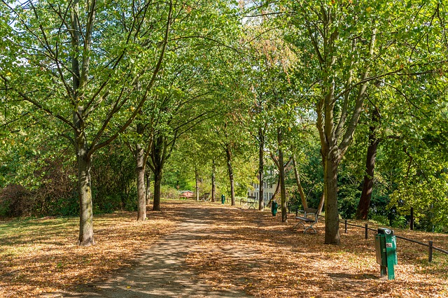 park-3653883_640
