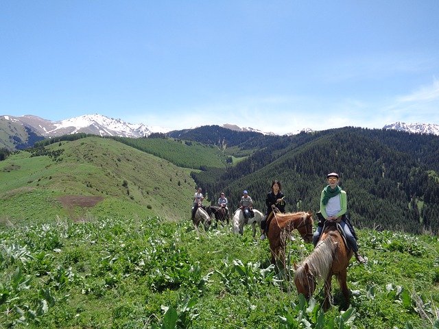 horse-riding-tour-2489482_640