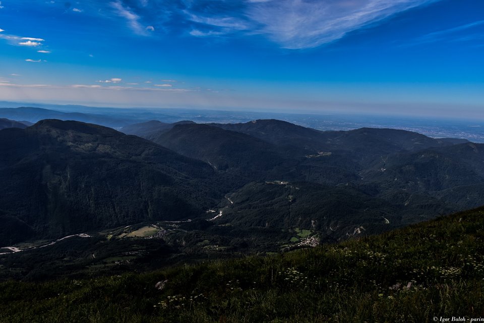 robidišče