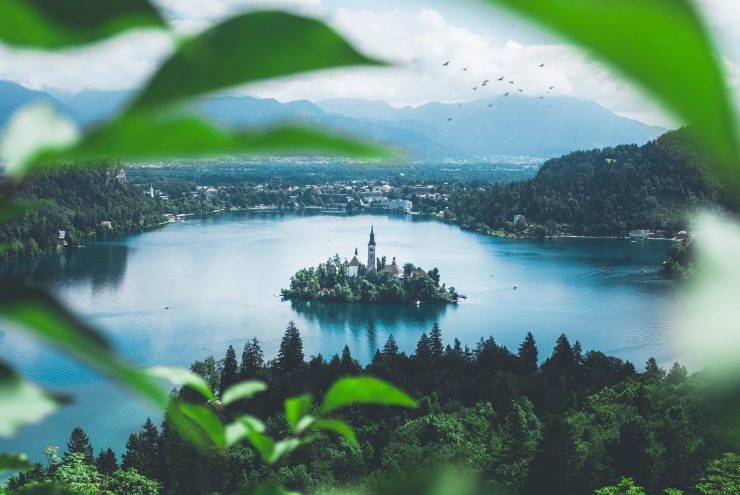 amadej-tauses-687457-unsplash