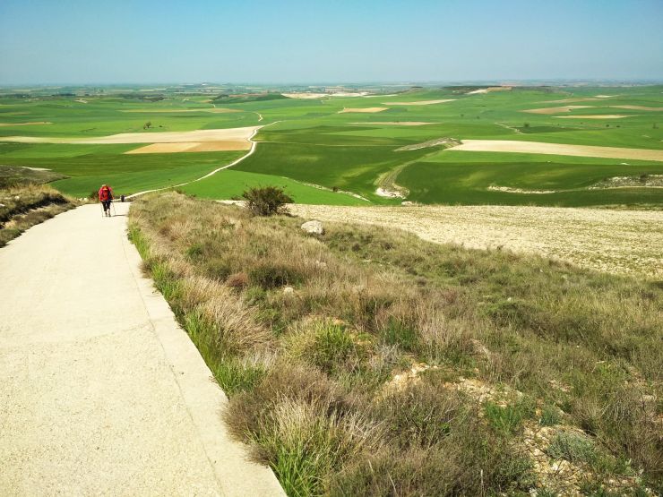 camino24