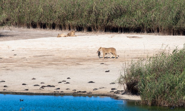 Flip Stander Namibian Journal of Environment1