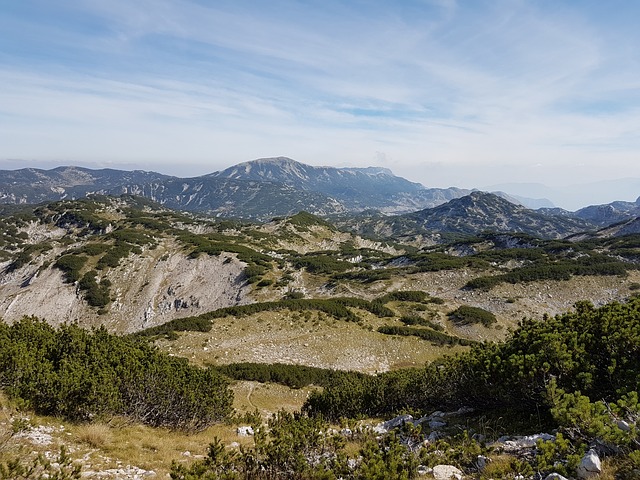 cvrsnica-1936163_640