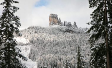 Credits Cortina Marketing Se (80)