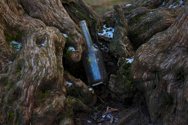 bottle-3942225_640