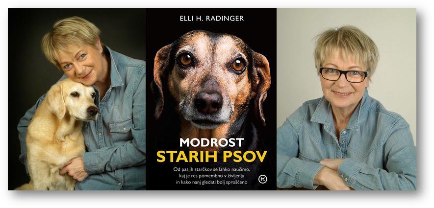 modrost starih psov