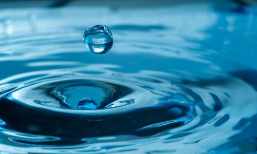Svetovni dan voda in meteorološki dan: Voda in podnebje