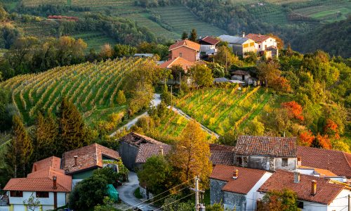 Destinacija Brda še bolj zelena - novi ponudniki z znakom Zeleni ključ